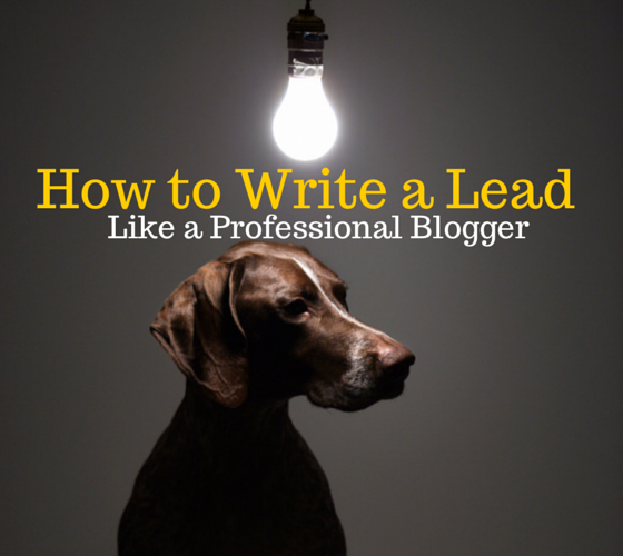Write a Lead