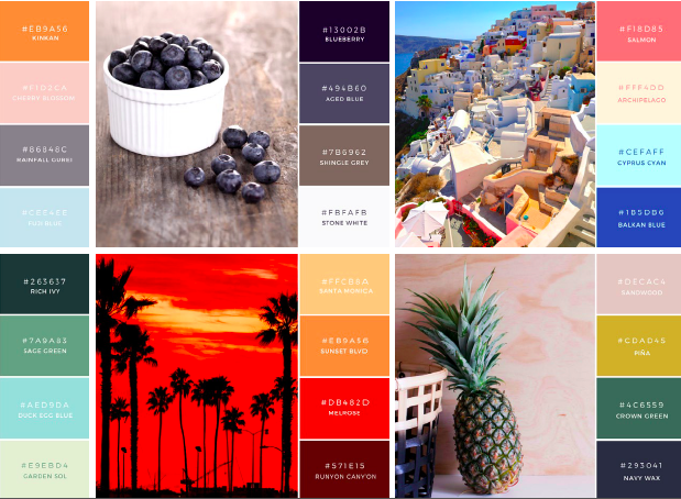 Color palettes from Canva