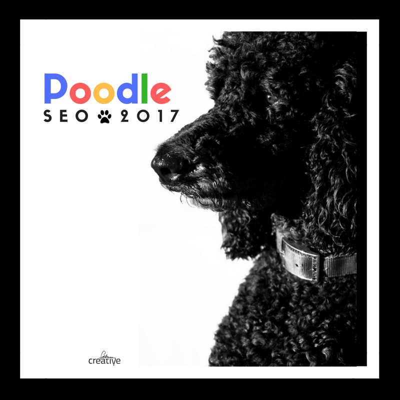 SEO 2017 - Poodle